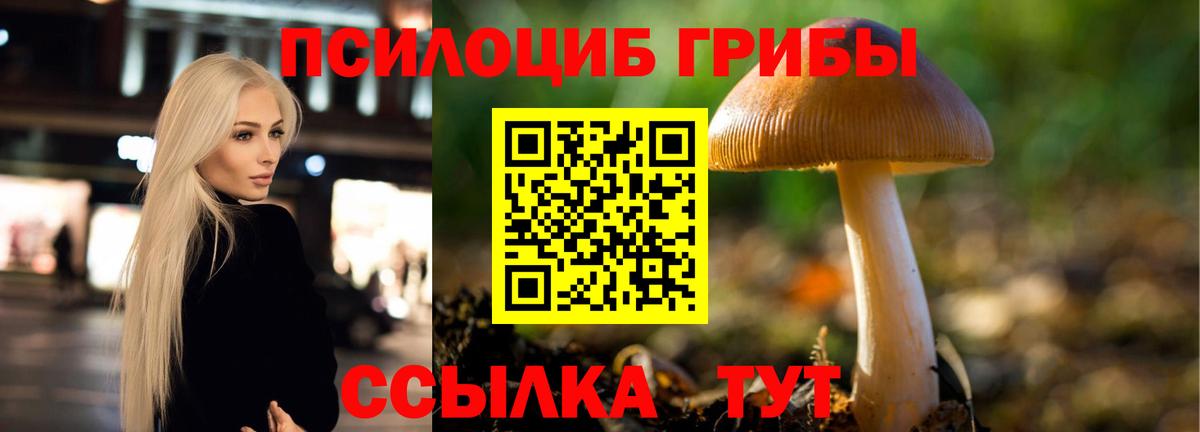 Псилоцибиновые грибы Psilocybe  наркотики  Горно-Алтайск  Вход с VPN 