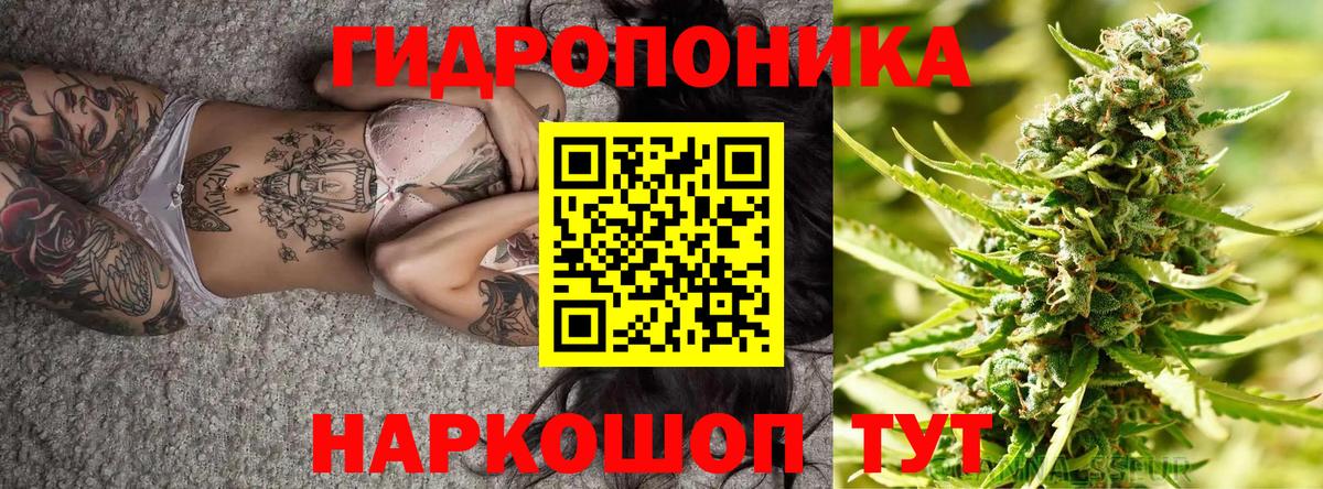 МАРИХУАНА планчик Горно-Алтайск